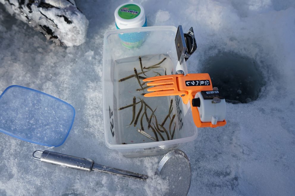 初心者も安心のレクチャーサポート